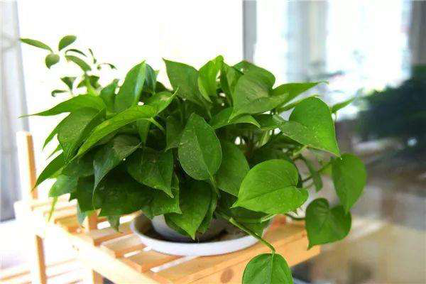 1566809493382239.png 圖片1.png